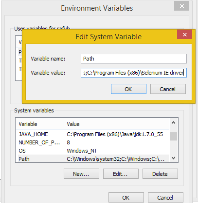 Add IE Driver Server to the Path variable
